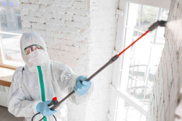 Best Real Estate Mold Inspection  in Oakland, SC