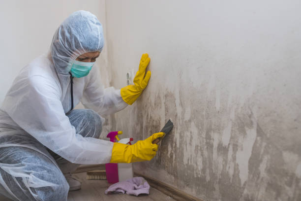 Best Residential Mold Inspection & Testing  in Oakland, SC