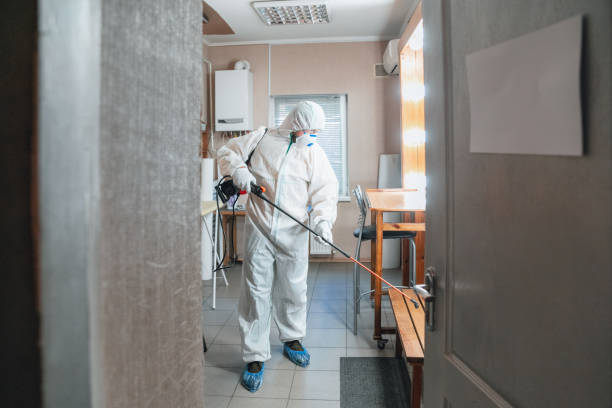 Biohazard Mold Removal in Oakland, SC
