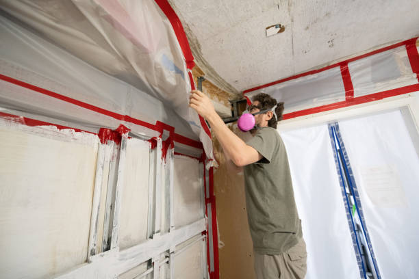 Trusted Oakland, SC Mold Removal Experts