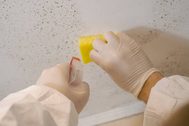 Best Forensic Mold Investigation  in Oakland, SC