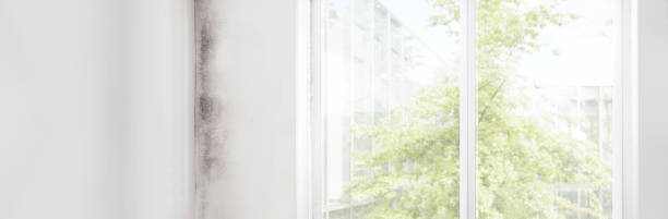 Best Mold Documentation for Insurance Claims  in Oakland, SC
